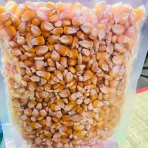 YELLOW MAIZE - (மக்காச்சோளம்)- MAKKASOLAM