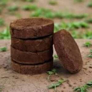 cow dung cake ( வரட்டி )